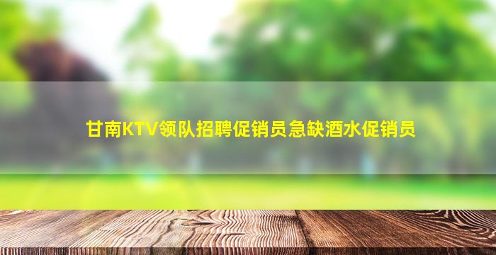 甘南KTV领队招聘促销员急缺酒水促销员